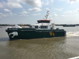 Image of RIX LEOPARD